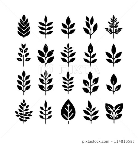 Leaves, Foliage, Greenery, Foliage silhouette editable vector illustration isolated over white background Leaves, Foliage, Greenery, Foliage silhouette editable vector illustration isolated over white background 114816585