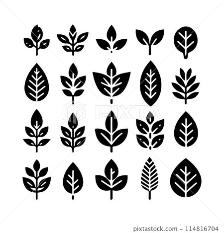 Leaves, Foliage, Greenery, Foliage silhouette editable vector illustration isolated over white background Leaves, Foliage, Greenery, Foliage silhouette editable vector illustration isolated over white background 114816704