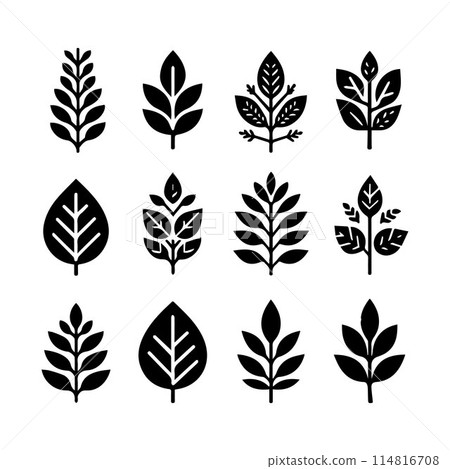 Leaves, Foliage, Greenery, Foliage silhouette editable vector illustration isolated over white background Leaves, Foliage, Greenery, Foliage silhouette editable vector illustration isolated over white background 114816708