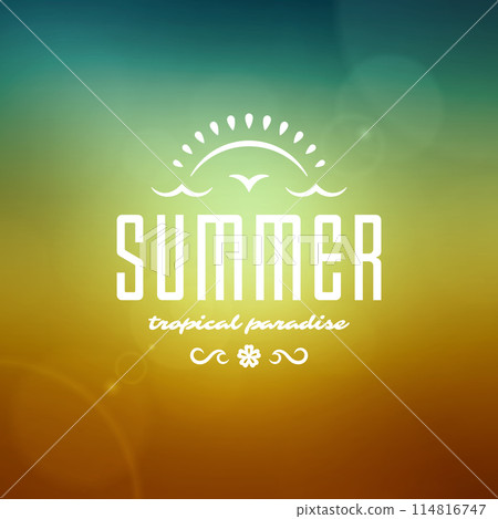Summer holidays label or badge typography slogan design Summer holidays label or badge typography slogan design 114816747
