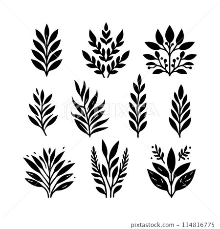 Leaves, Foliage, Greenery, Foliage silhouette editable vector illustration isolated over white background Leaves, Foliage, Greenery, Foliage silhouette editable vector illustration isolated over white background 114816775