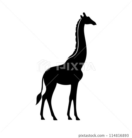 Giraffe, Camelopard, Giraffid, silhouette editable vector illustration isolated over white background Giraffe, Camelopard, Giraffid, silhouette editable vector illustration isolated over white background 114816893