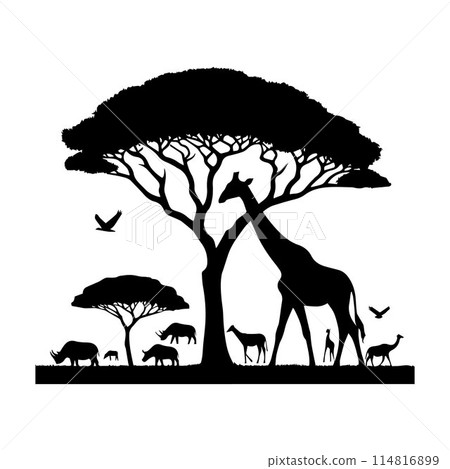 Giraffe, Camelopard, Giraffid, silhouette editable vector illustration isolated over white background Giraffe, Camelopard, Giraffid, silhouette editable vector illustration isolated over white background 114816899