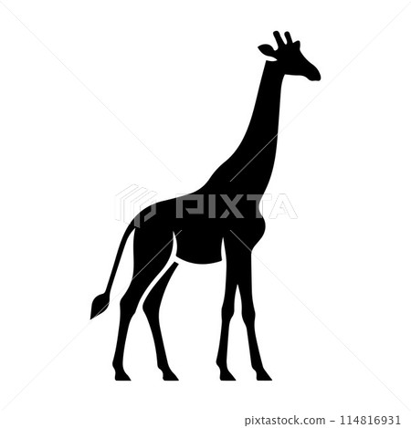 Giraffe, Camelopard, Giraffid, silhouette editable vector illustration isolated over white background 114816931