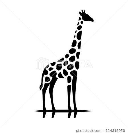 Giraffe, Camelopard, Giraffid, silhouette editable vector illustration isolated over white background Giraffe, Camelopard, Giraffid, silhouette editable vector illustration isolated over white background 114816950