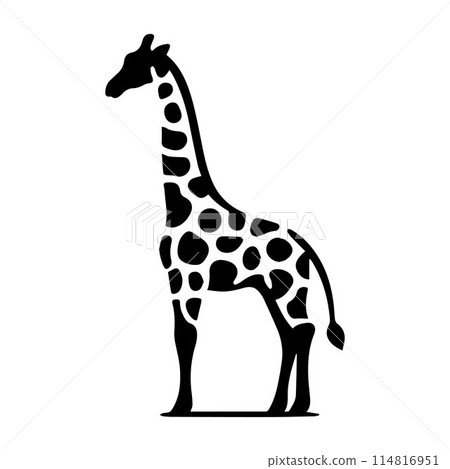 Giraffe, Camelopard, Giraffid, silhouette editable vector illustration isolated over white background Giraffe, Camelopard, Giraffid, silhouette editable vector illustration isolated over white background 114816951