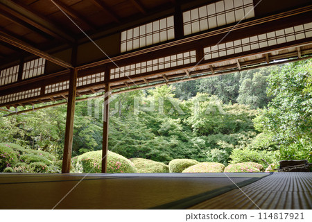 定山寺紫仙堂庭園 定山寺紫仙堂庭園 114817921
