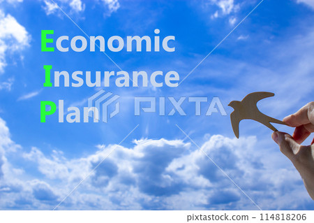 EIP economic insurance plan symbol. Concept words EIP economic insurance plan on beautiful blue sky clouds background. Wooden bird. Business EIP economic insurance plan concept. Copy space. 114818206