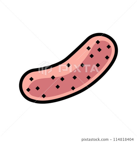 raw sausage meat color icon vector illustration 114818404