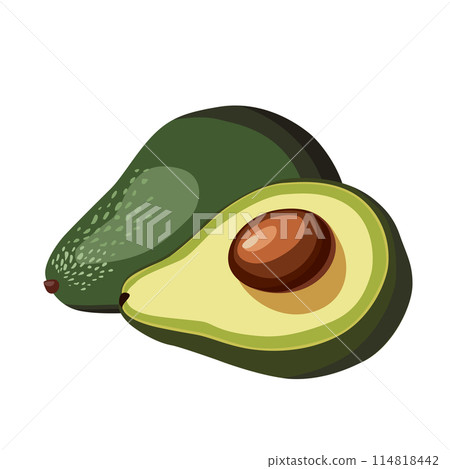 Fresh whole and half cut green avocado isolated on white background. Side view. Vector food clipart 114818442