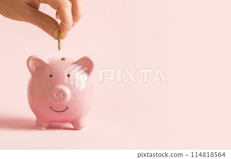 Hand puts a coin in a piggy bank. 114818564