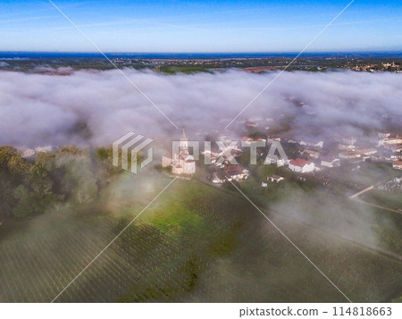 Aerial view of Bordeaux vineyard at sunrise spring under fog, Loupiac, Gironde, France 114818663