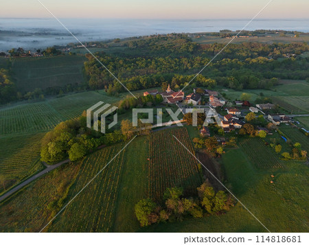 Aerial view of Bordeaux vineyard at sunrise spring under fog, Rions, Gironde, France 114818681