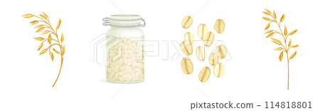 Oatmeal as Whole-grain Food and Cereal Vector Set Oatmeal as Whole-grain Food and Cereal Vector Set 114818801