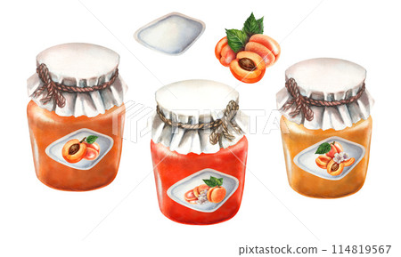 Apricot orange jam in a closed glass jar with a blank label, a paper lid tied with a rope. Watercolor illustration for templates of sweet harvest, summer fruits, juices, food, marmalade and sweets 114819567