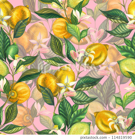 Watercolor seamless pattern with blooming lemons and lime branch with leaves, pink flowers and green lemon. Hand painted yellow fruits and flower isolated on pink background. Fresh citrus illustration Watercolor seamless pattern with blooming lemons and lime branch with leaves, pink flowers and green lemon. Hand painted yellow fruits and flower isolated on pink background. Fresh citrus illustration 114819590