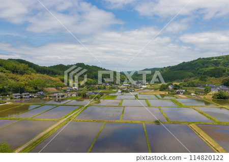 山上的稻田（大分縣竹田市直入町） 114820122