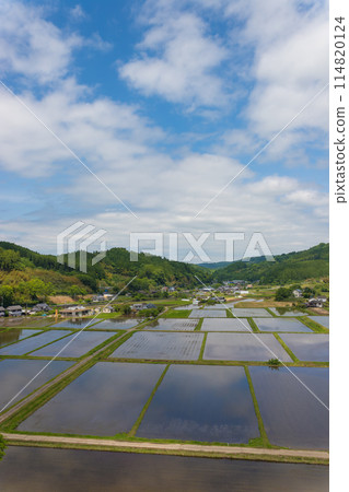 山上的稻田(大分縣竹田市直入町) 山上的稻田(大分縣竹田市直入町) 114820124