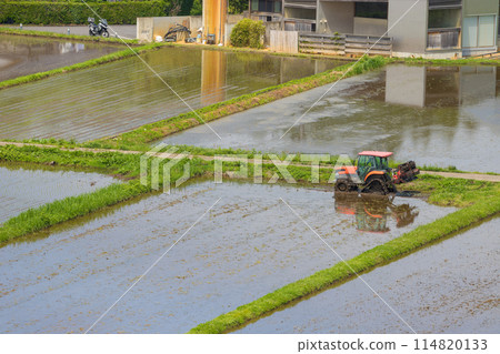 山上的稻田（大分縣竹田市直入町） 114820133