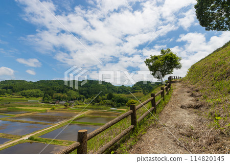 山上的稻田(大分縣竹田市直入町) 山上的稻田(大分縣竹田市直入町) 114820145