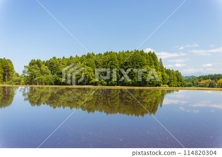 Rice fields and reflections (Taketa City, Oita Prefecture) Rice fields and reflections (Taketa City, Oita Prefecture) 114820304