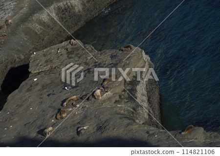 Cliffs landscape in Peninsula Valdes, Unesco World Heritage Site, Chubut Province, Patagonia, Argentina. Cliffs landscape in Peninsula Valdes, Unesco World Heritage Site, Chubut Province, Patagonia, Argentina. 114821106