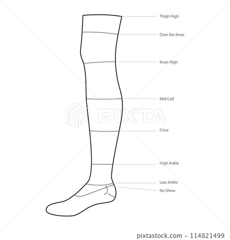Diagrams of sock length with text names. Hosiery Fashion accessory clothing technical illustration. Vector side view Diagrams of sock length with text names. Hosiery Fashion accessory clothing technical illustration. Vector side view 114821499