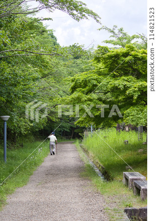 An elderly man strolling through a park in early summer 114821523