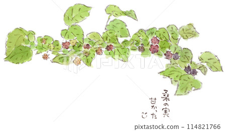A watercolor illustration of a mulberry plant with cute little fruits in early summer 114821766