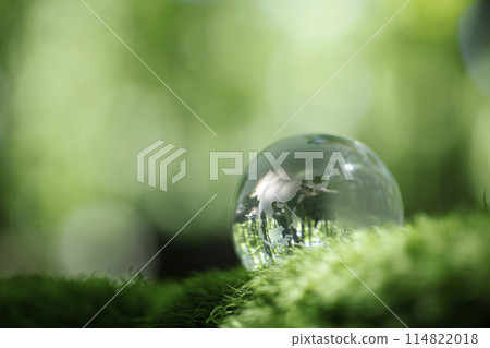 Eco image: Glass globe 114822018