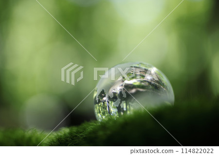Eco image: Glass globe 114822022