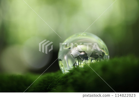 Eco image: Glass globe 114822023