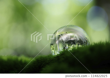 Eco image: Glass globe 114822025