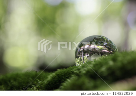 Eco image: Glass globe 114822029