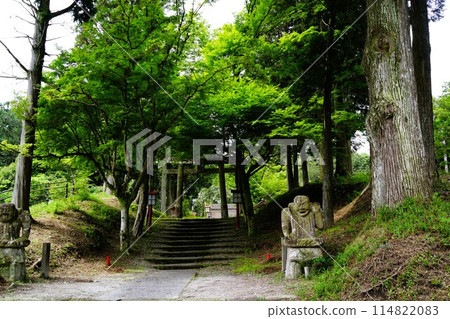 Suwa Shrine, Isa City, Kagoshima Prefecture, in the season of fresh greenery 114822083
