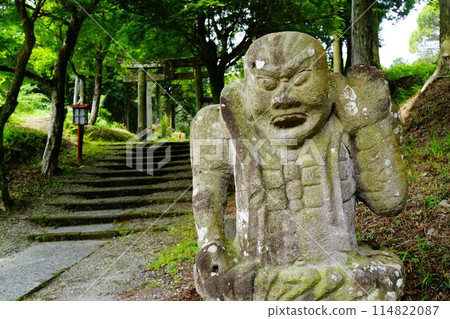 鹿兒島縣伊佐市誣訪神社，新綠季節 114822087