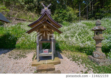春天的島根縣松江市加賀神社境內的神社（日野崎神社） 114822159