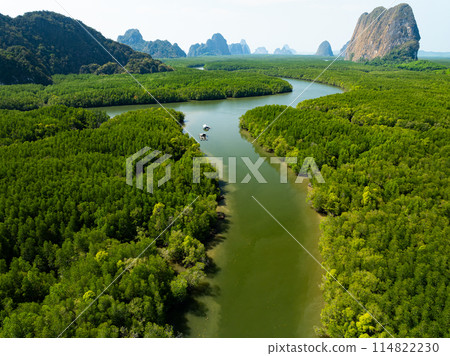 Amazing abundant mangrove forest, Aerial view of forest trees Rainforest ecosystem and healthy environment background 114822230