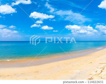 Beautiful beach sea in summer season,Travel and nature environment concept,Sea beach background Top view image from drone 114822631