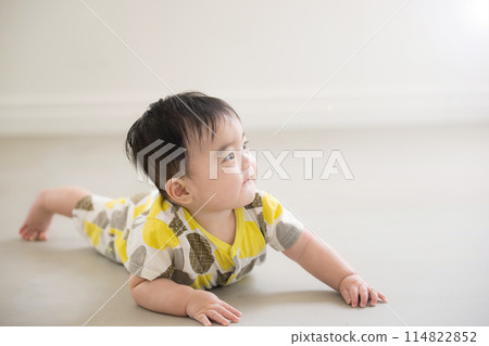 Baby's whole body crawling with face lifted Baby's whole body crawling with face lifted 114822852