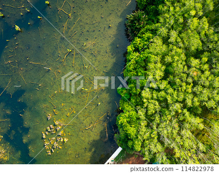 Aerial view top down Drone view over swamp or lake,Amazing nature view in the morning at Klong root lake Krabi Thailand 114822978