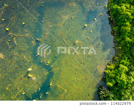 Aerial view top down Drone view over swamp or lake,Amazing nature view in the morning at Klong root lake Krabi Thailand 114822979