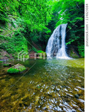 Garon Falls (Garon Falls) 114823084