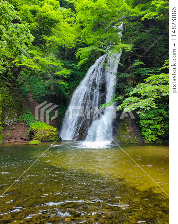 阿貢瀑布 (Agon Falls) 阿貢瀑布 (Agon Falls) 114823086