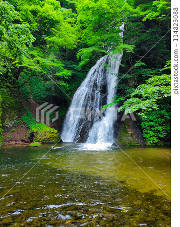 Garon Falls (Garon Falls) Garon Falls (Garon Falls) 114823088
