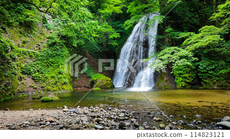 Garon Falls (Garon Falls) 114823121