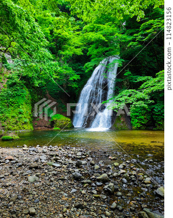 Garon Falls (Garon Falls) Garon Falls (Garon Falls) 114823156
