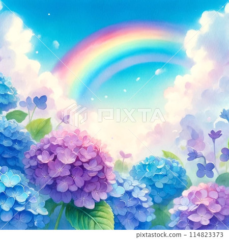 Blue sky with rainbow and hydrangeas 114823373