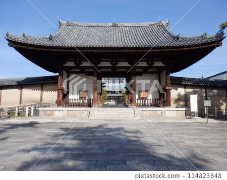 National Treasure: The Great South Gate of Horyuji Temple 114823848