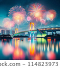 House boat and fireworks 114823973